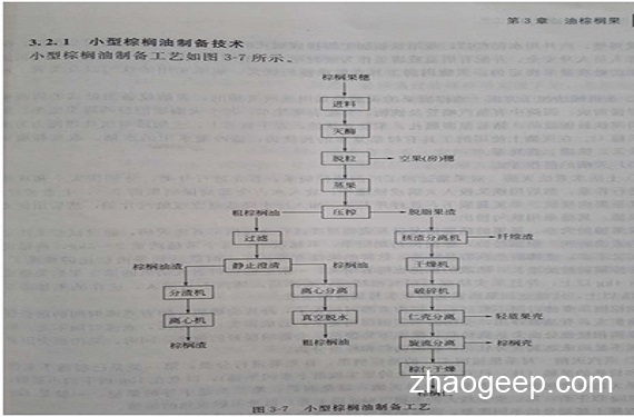 兆格分享：液压榨油机在制取棕榈油的应用